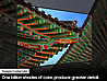  43  Samsung UE43DU8000 4K Smart